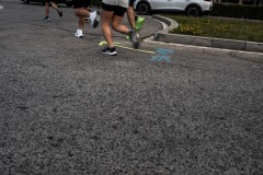 DSC04462